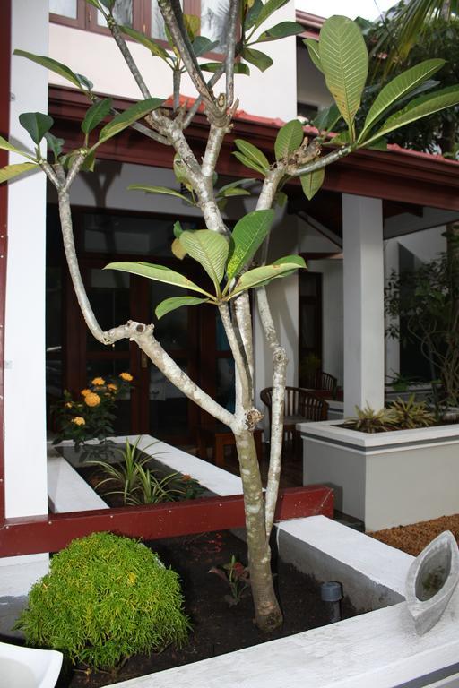Aliya Lanka Beruwala Exterior foto